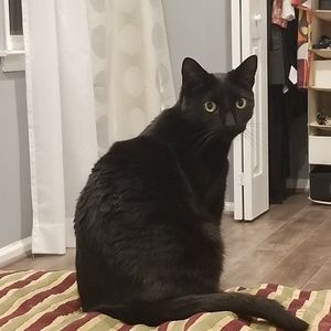 Meet your Posher, Anna